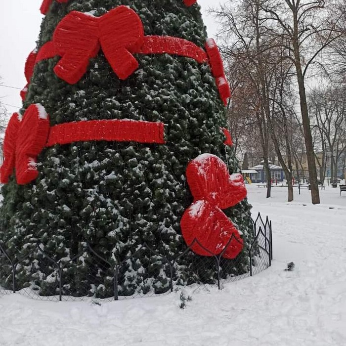 tree