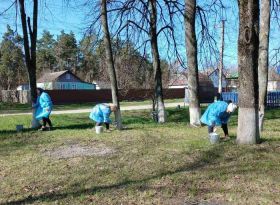 Плекаючи рідне